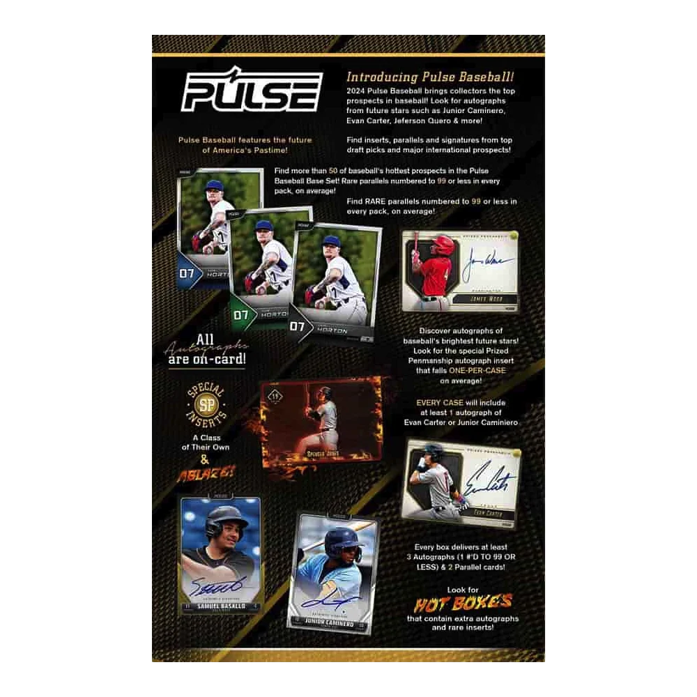 2024 Pulse Baseball Hobby Box